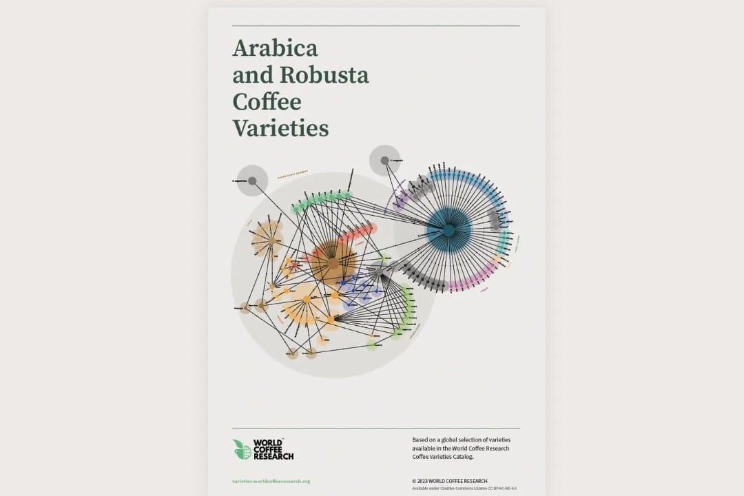 World Coffee Research releases free coffee variety poster Global