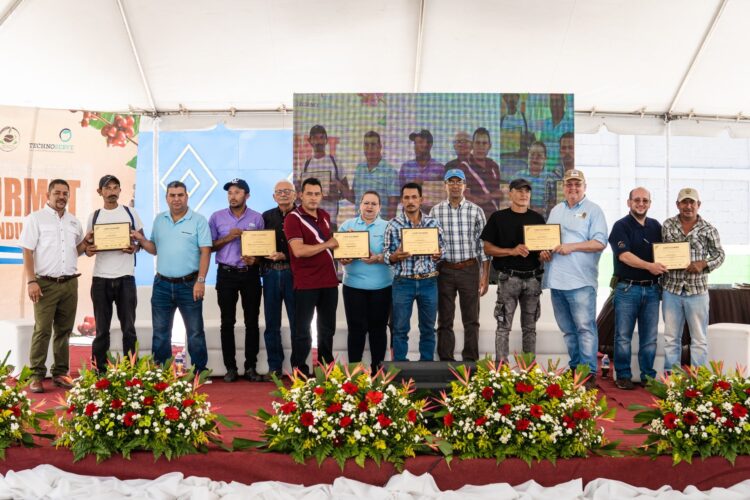 volcafe cafe gourmet honduras