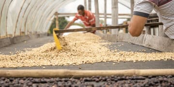 Bean Box has partnered with the Cup of Excellence