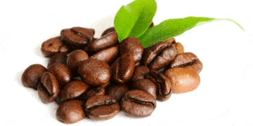 A recent study shows that consumers are putting greater emphasis into ethical practice.