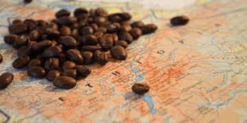Ethiopian coffee sector