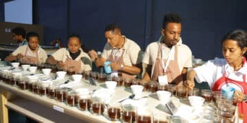 Cup of Excellence Ethiopia