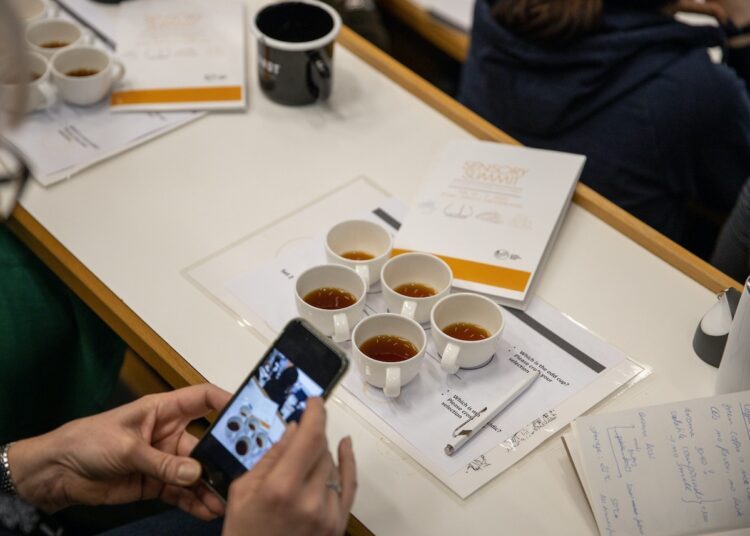 sensory summit