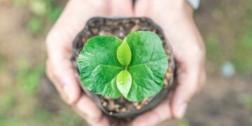 SCA 2022 Sustainability Awards
