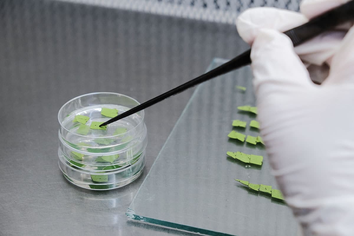 ECOM on making profit with purpose - Global Coffee Report