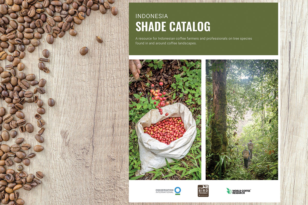 Indonesia Shade Catalog empowers agroforestry in coffee production