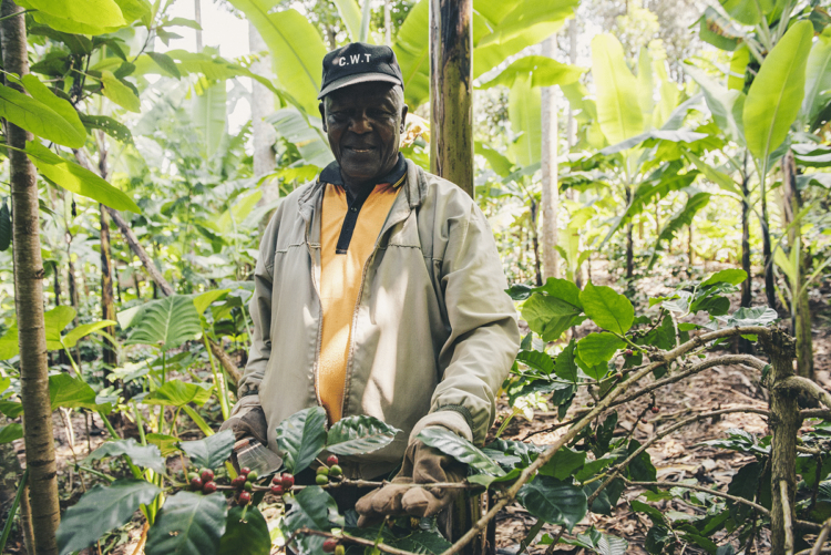 Global coffee platform