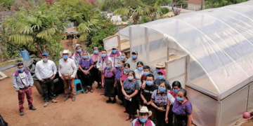 International Coffee Partners