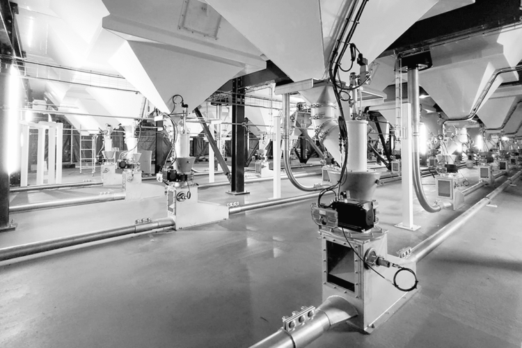 Ima Coffee Petroncini