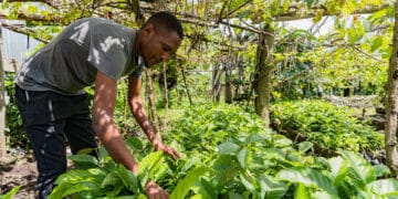 World Coffee Research