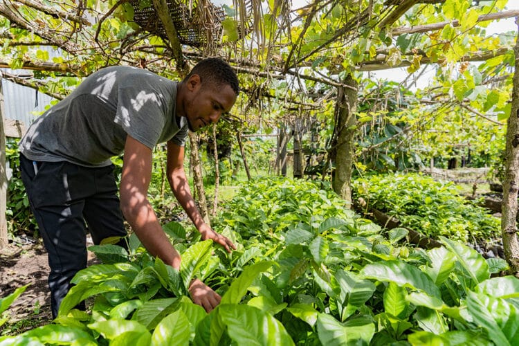 World Coffee Research