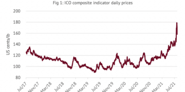 International Coffee Organization