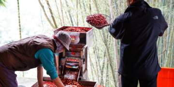 Taiwan Private Collection Auction