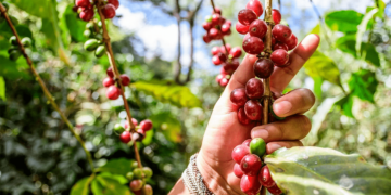 Westrock Coffee Company