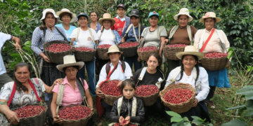 Café Femenino - Kerry