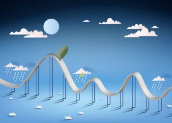 The green bean price roller-coaster