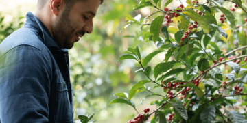 Lamastus Family Estates