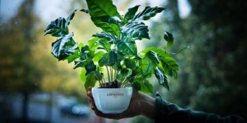 Löfbergs sustainability report