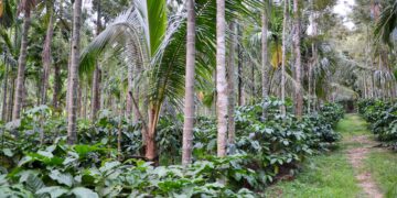 Julius Meinl Sustainability Report