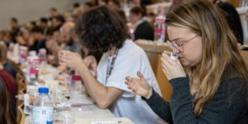 Sensory Summit