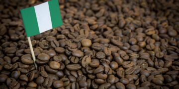 International Coffee Organization