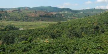 coffee culture in Vietnam