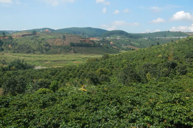 coffee culture in Vietnam