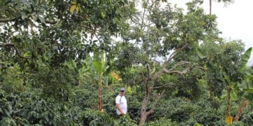 caring for climate