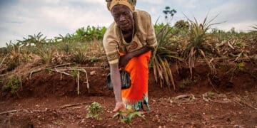 Sucafina sustainability