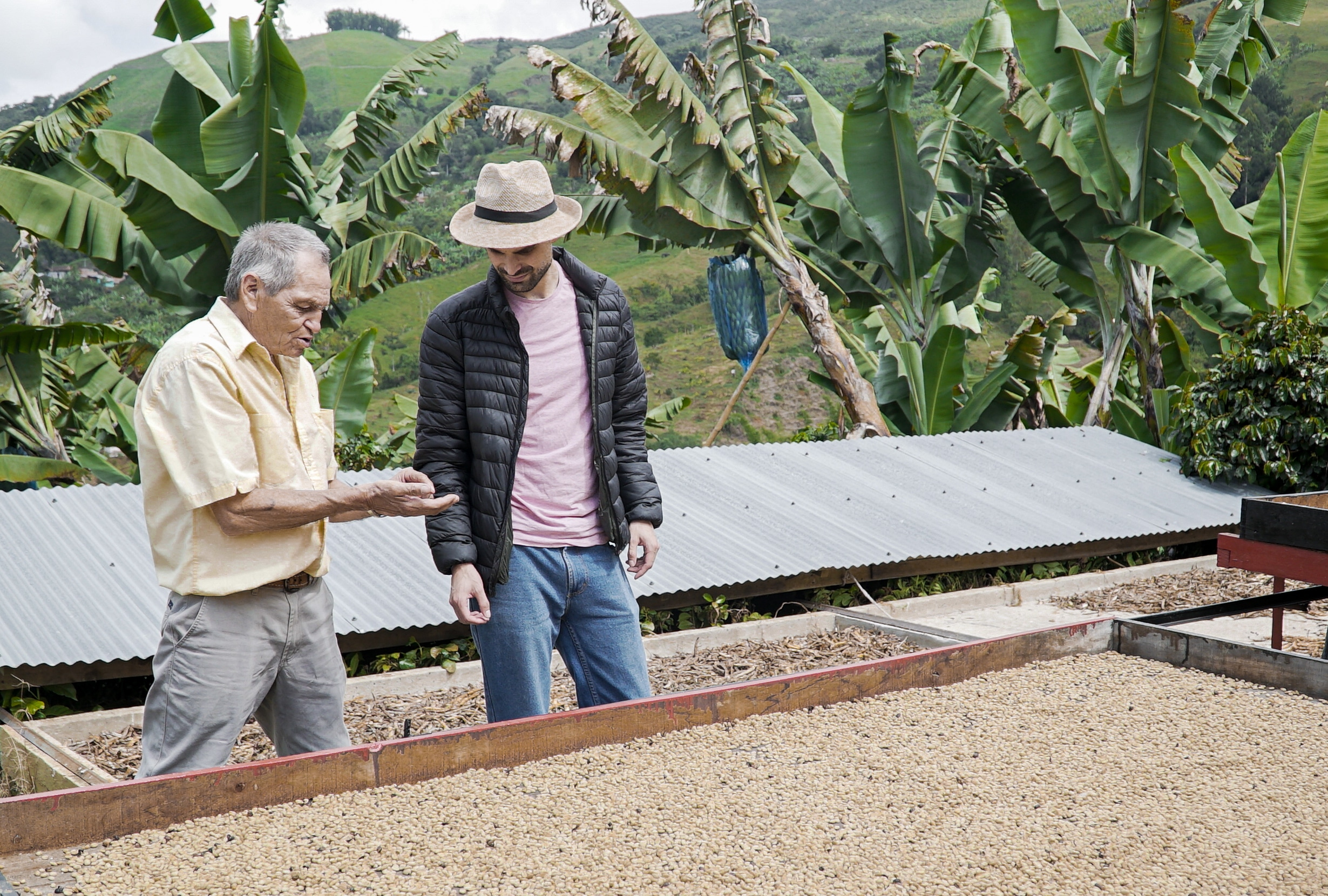 Por qué el mercado colombiano del café está enfocado en el cambio climático