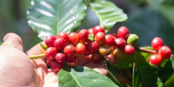 gcp funding millions