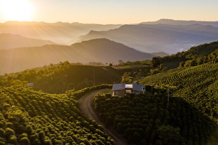 Los Rodriguez Bolivia Private Collection Auction