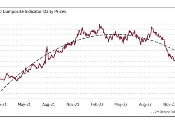 ICO January 2022 market report