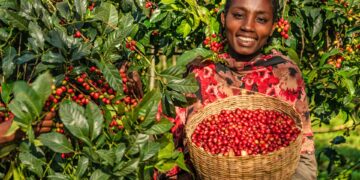 Sucafina sustainability recognition