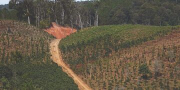 EU Deforestation Regulation