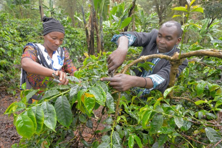 Fairtrade minimum price