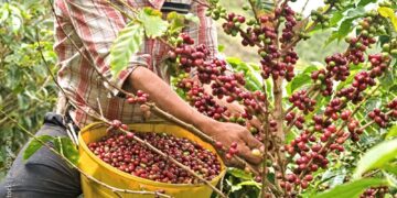 Green Coffee Summit schedule