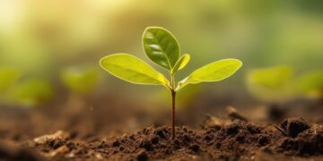 World Coffee Research