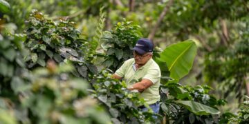 Fairtrade