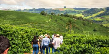 Global Coffee Platform