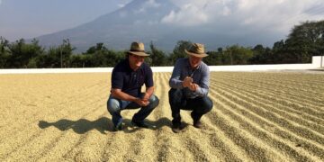 JDE Peet's coffee farmers