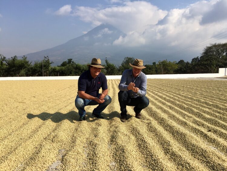 JDE Peet's coffee farmers