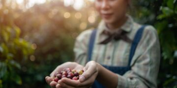 Sustainability at Groupe SEB
