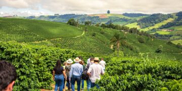 All sustainability schemes recognized by GCP are eligible for roasters and retailers to be included in the annual GCP Collective Reporting on Sustainable Coffee Purchases. Image: GCP