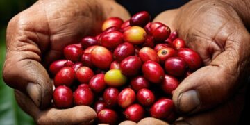 Nescafe's report shows increased adoption of regenerative agriculture practices. Image:  Ilgun/stock.adobe.com