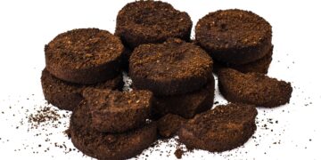 Waste coffee. Image: Image:  ArtCookStudio//stock.adobe.com