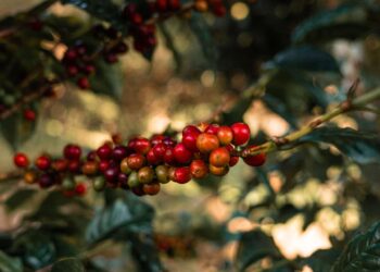 Image: Inkfinity Studio / stock.adobe.com