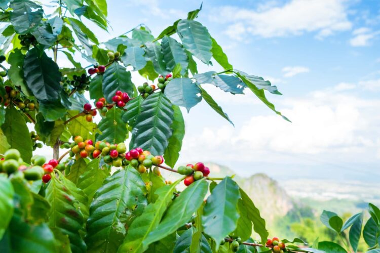 Image: jakkapan / stock.adobe.com