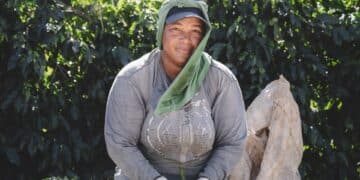 Electric coffee roasting company Bellwether Coffee has announced its 2023 impact report.
