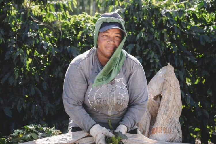 Electric coffee roasting company Bellwether Coffee has announced its 2023 impact report.